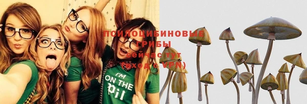 хмурый Алексеевка