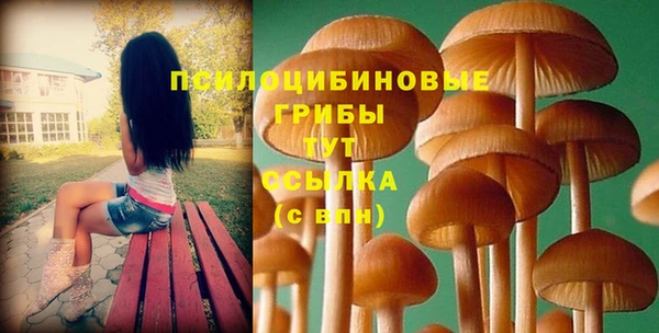 2c-b Алексин