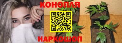 jwh Лесосибирск