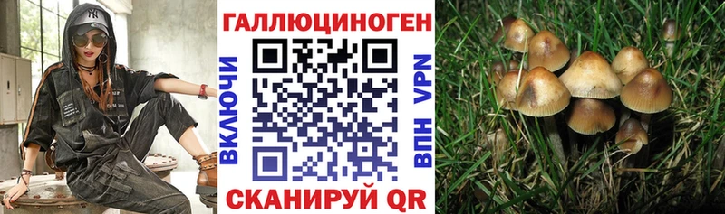 Псилоцибиновые грибы мицелий Гуково