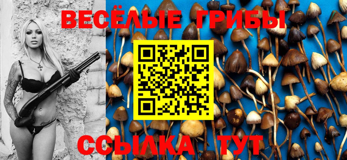 Галлюциногенные грибы мухоморы Гуково